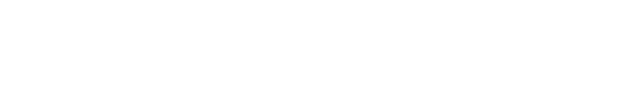 American Airlines
